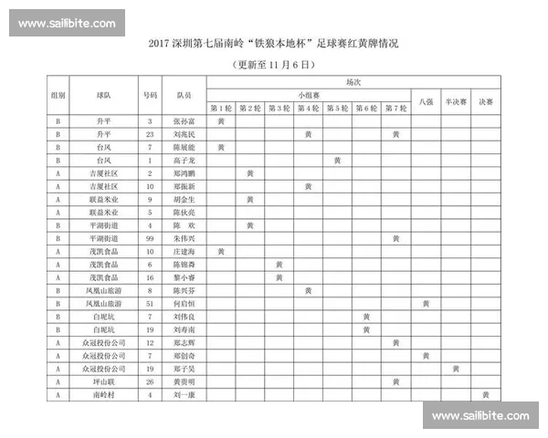足球比赛中红黄牌的含义判罚规则与影响解析及其对比赛结果的作用 - 副本
