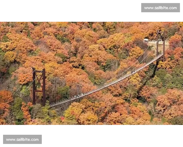 篮球比赛暂停规则全面解析与实战运用技巧指南助你掌控节奏🏀⏱️ - 副本